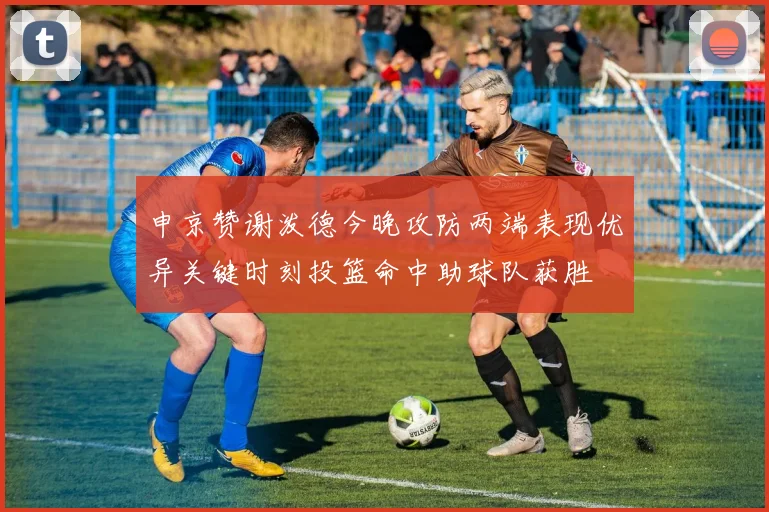 申京赞谢泼德今晚攻防两端表现优异关键时刻投篮命中助球队获胜