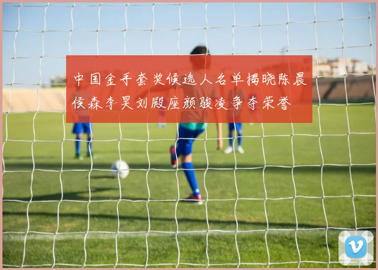 中国金手套奖候选人名单揭晓陈晨侯森李昊刘殿座颜骏凌争夺荣誉